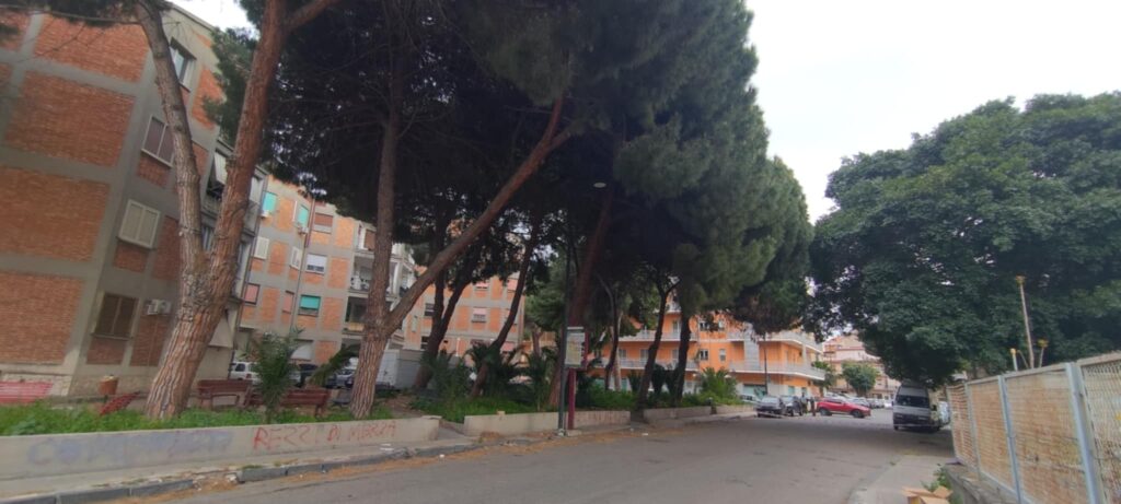 polizia municipale