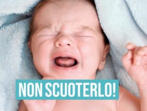 campagna non scuoterlo