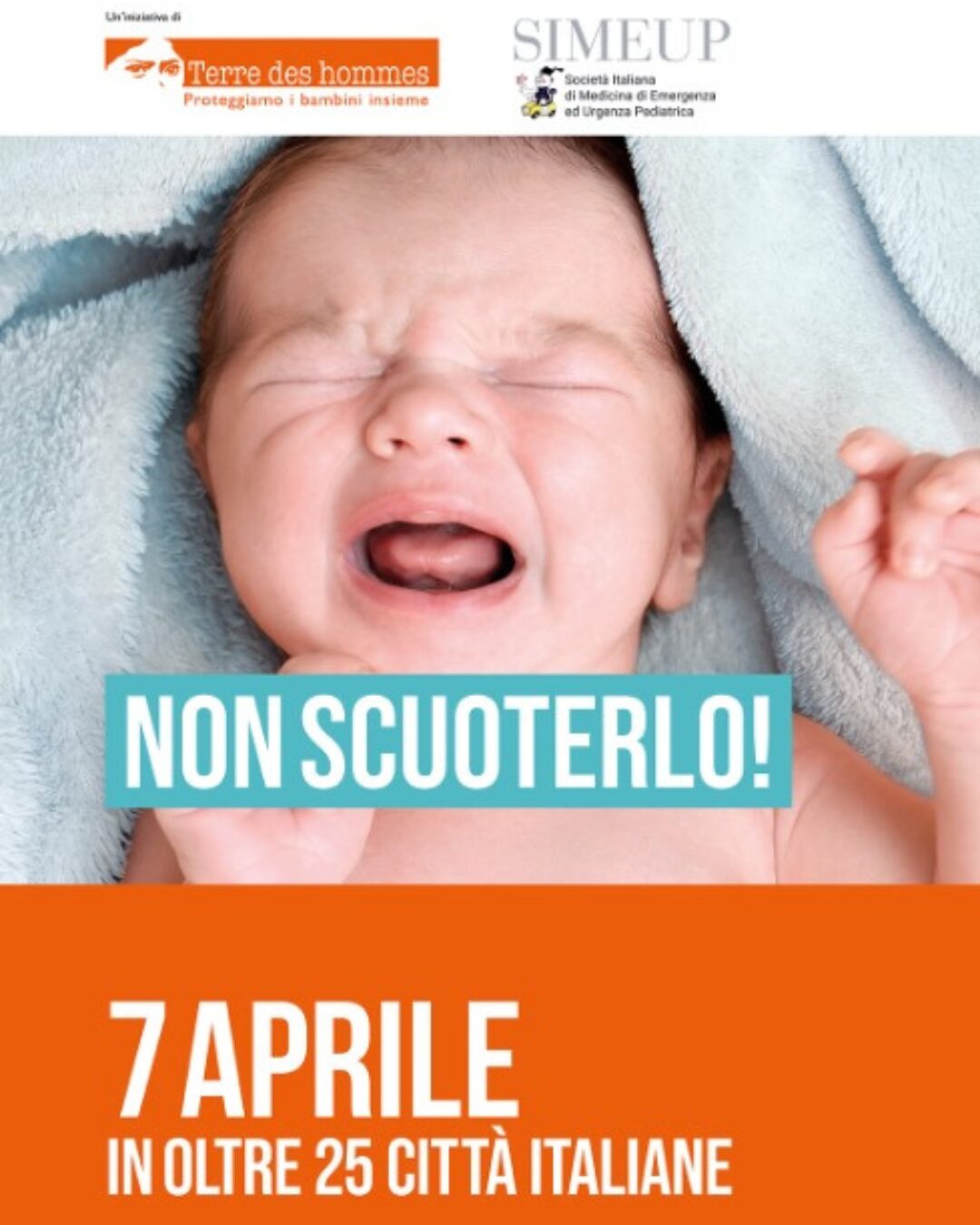 campagna non scuoterlo