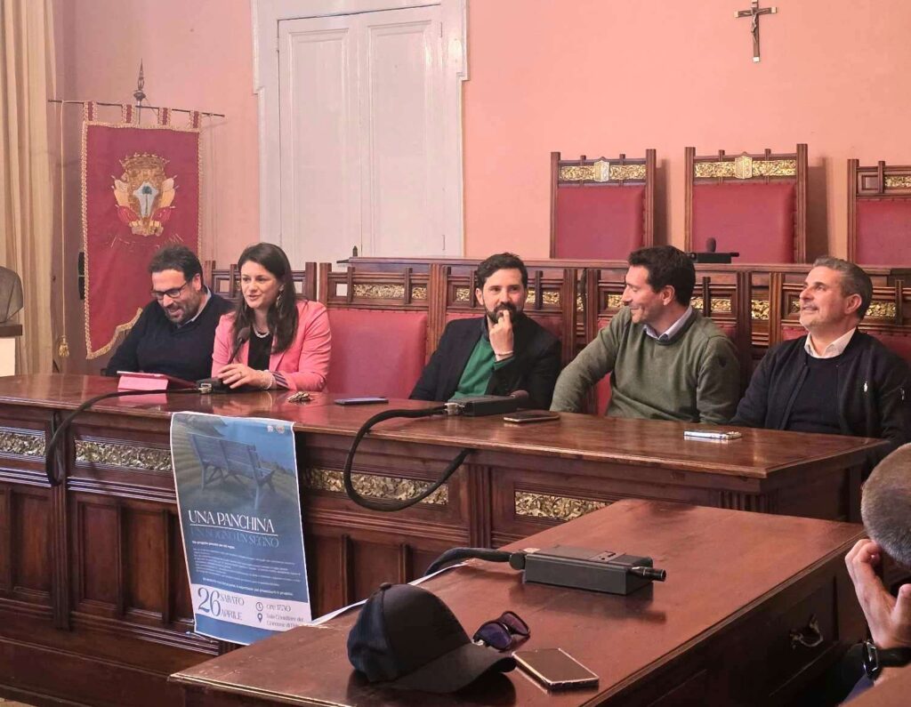 consiglio comunale palmi