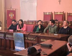 consiglio comunale palmi