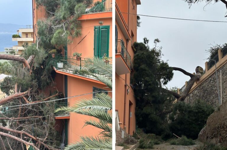 crollo albero via trabocchetto