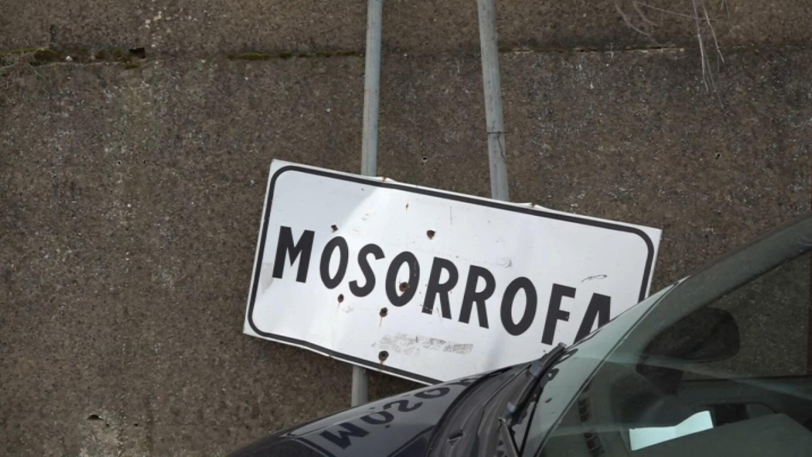 mosorrofa cartello bucherellato