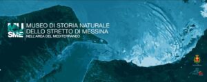 museo-storia-naturale-dello-stretto