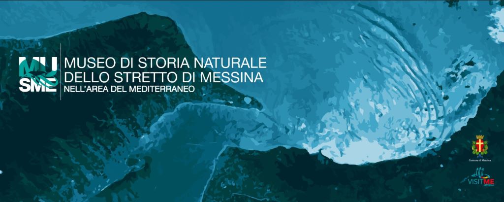 museo-storia-naturale-dello-stretto