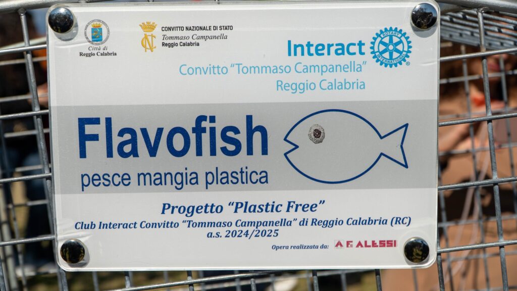 pesce mangiaplastica reggio calabria