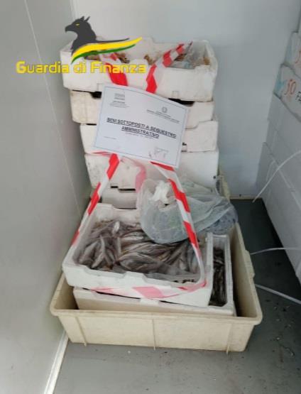 sequestro bianchetto