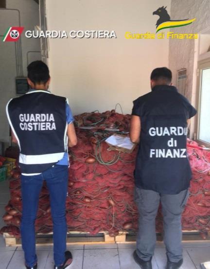 sequestro bianchetto