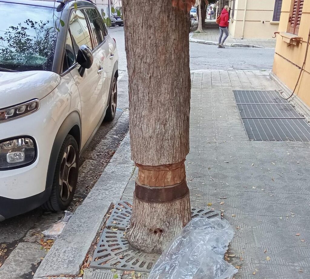 stato alberature