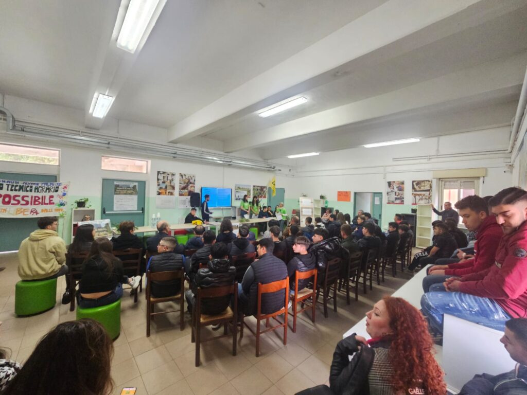 viaggio nella memoria einaudi alvaro di palmi