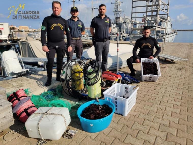 BRACCONIERI SORPRESI A DEPREDARE RICCI DI MARE (1)