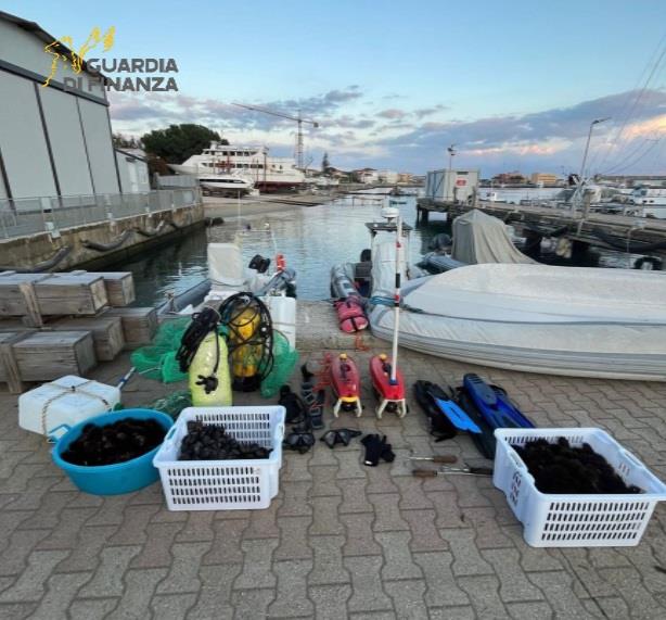 BRACCONIERI SORPRESI A DEPREDARE RICCI DI MARE