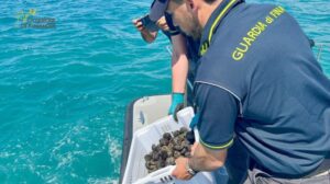 BRACCONIERI SORPRESI A DEPREDARE RICCI DI MARE