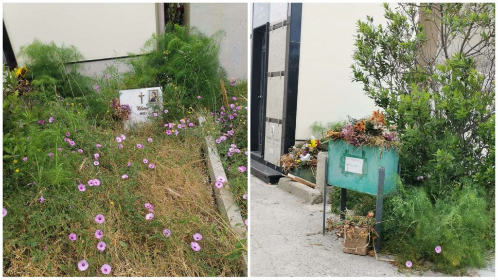 Degrado Cimitero Bocale