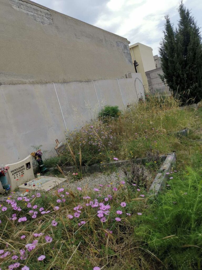 Degrado Cimitero Bocale