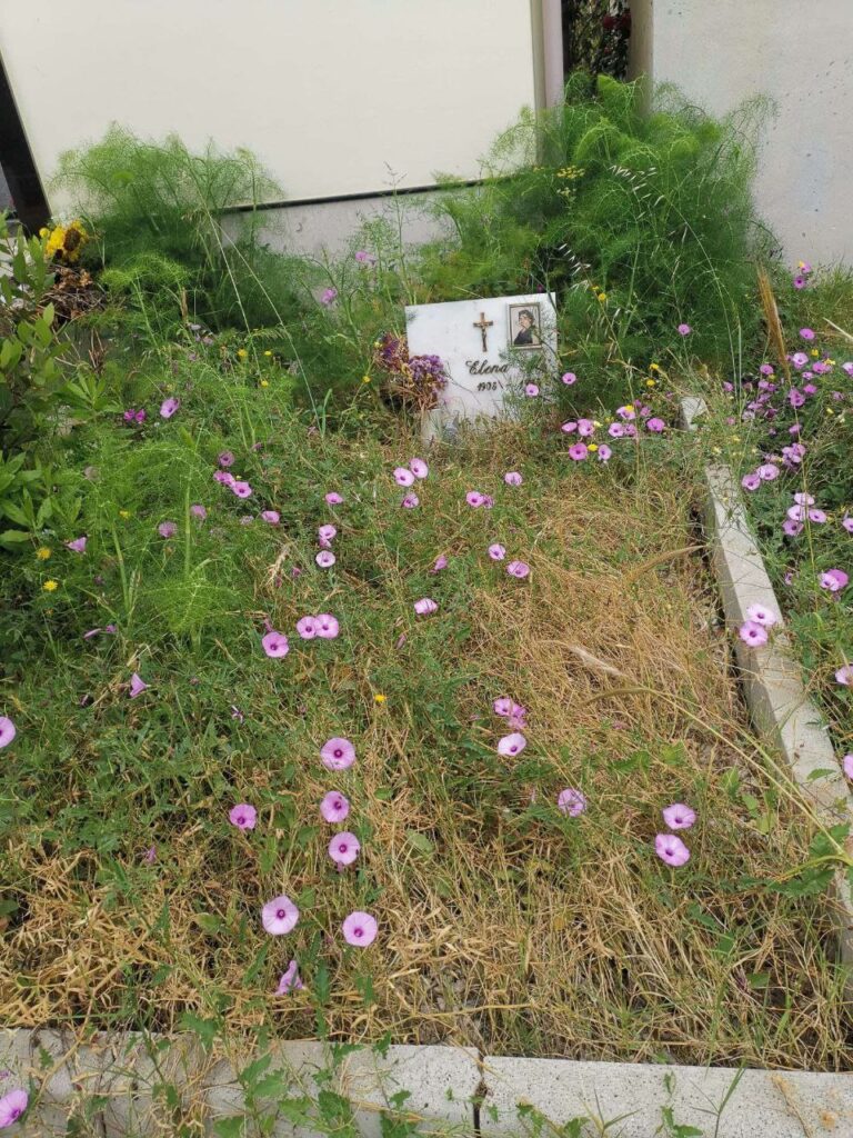 Degrado Cimitero Bocale