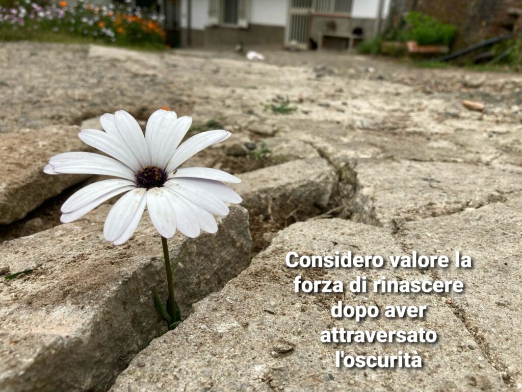 FERMI SE - Ascrizzi Chiara