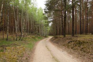 Sentiero-monte-crocco