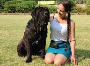 esposizione canina sicilia mastino napoletano