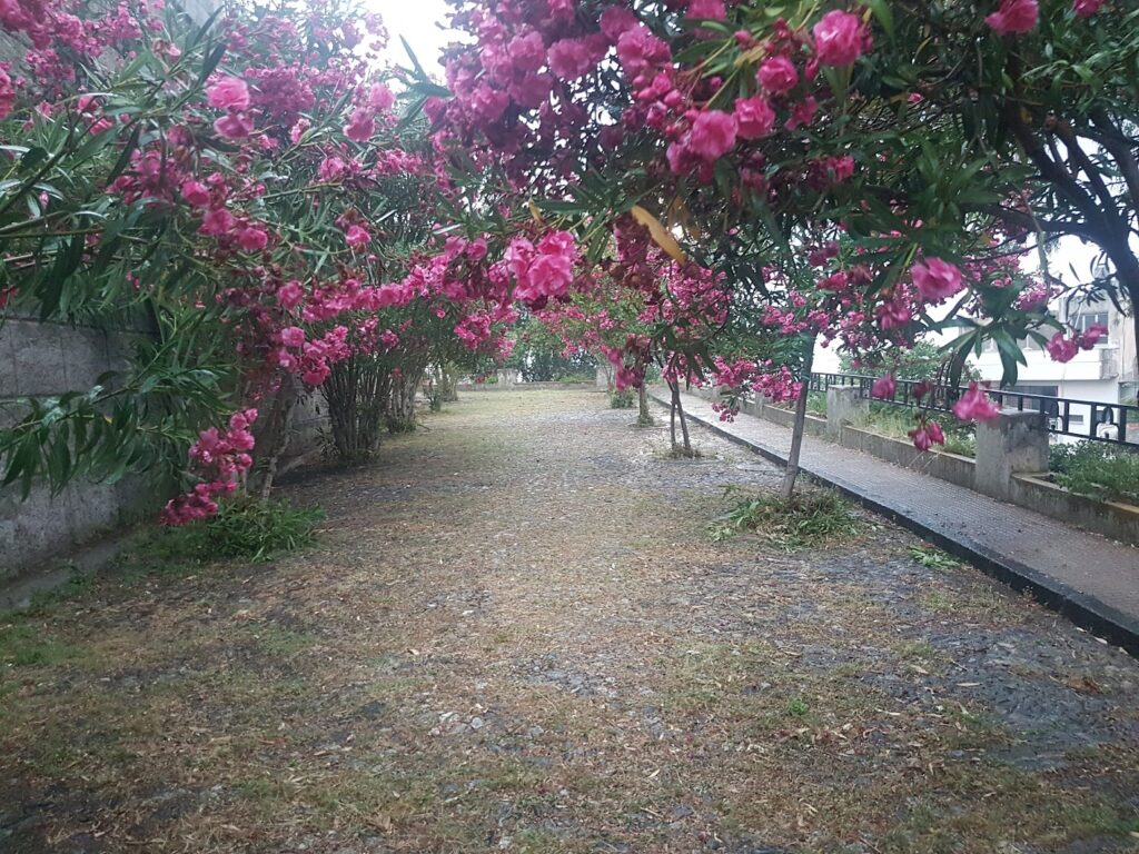 giardini-santuario-montalto