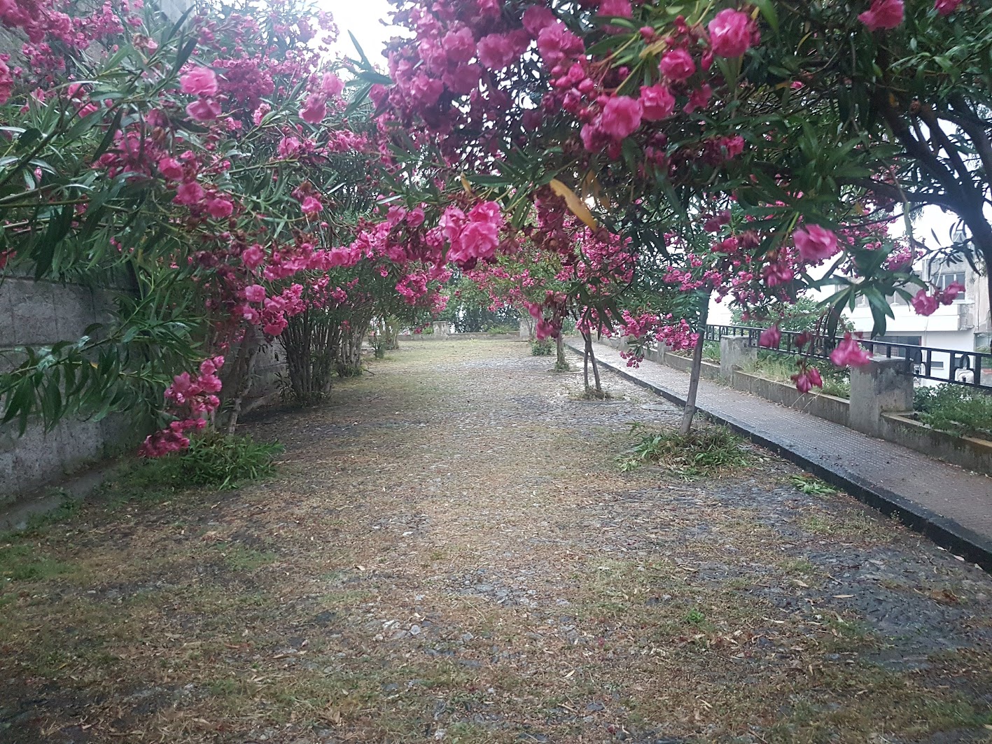 giardini-santuario-montalto