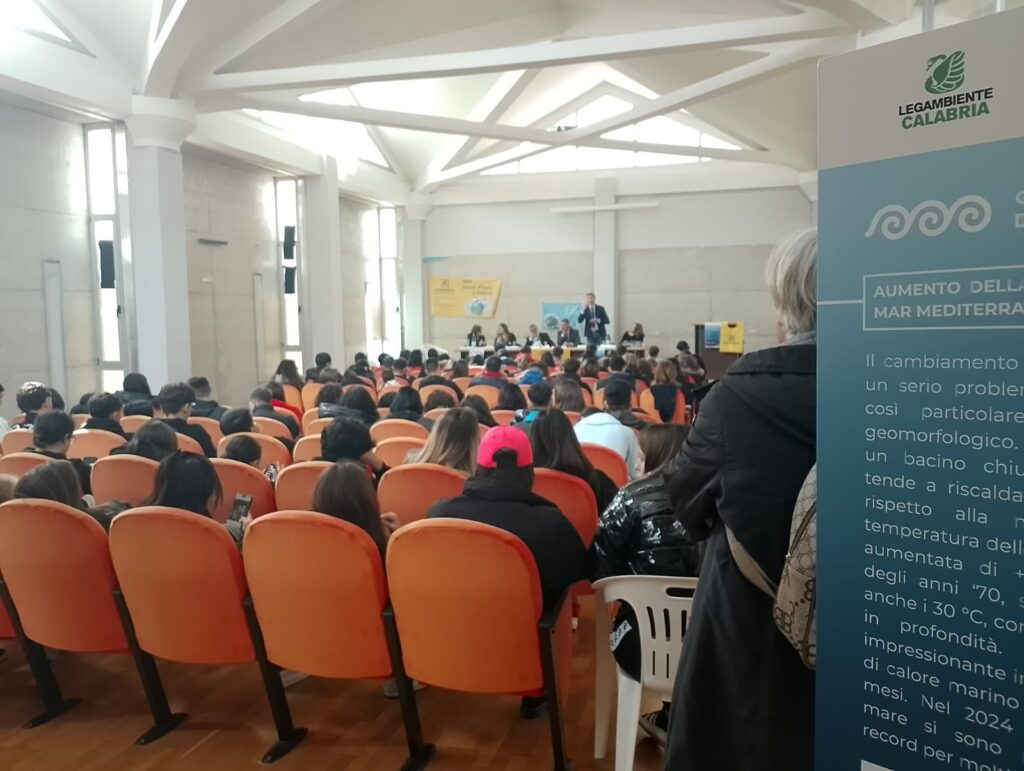 progetto calabria al centro del mediterraneo