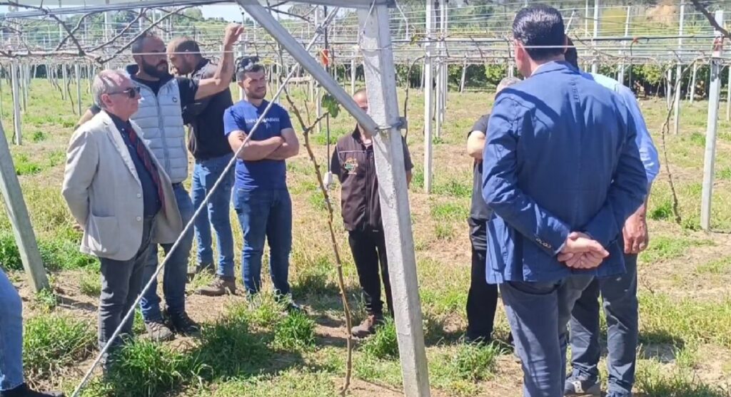 protesta agricoltori
