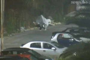 si traveste da fantasma per buttare la spazzatura in strada