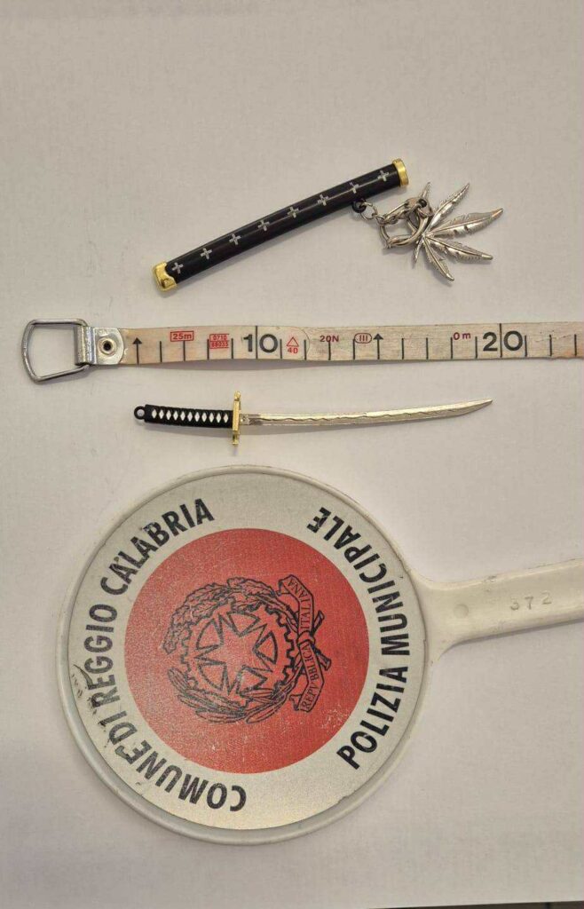 Coltello - arresti Reggio