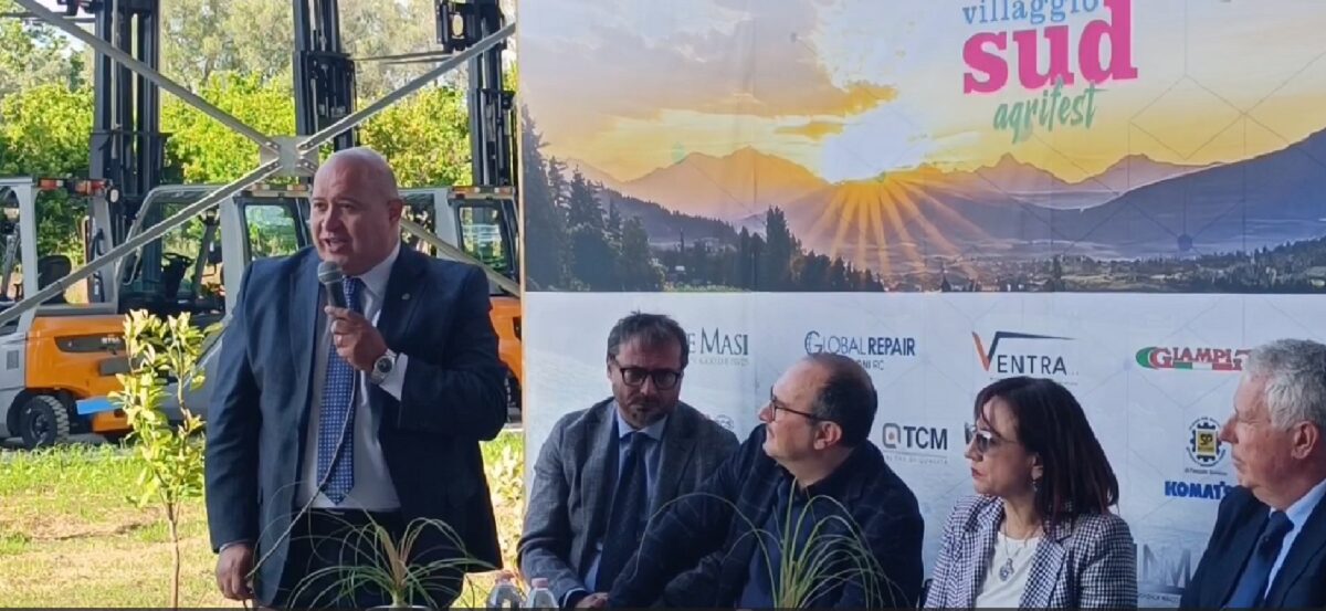 Dibattito avvocati palmi
