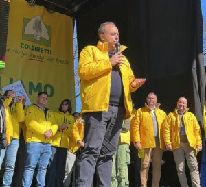 Franco-Aceto