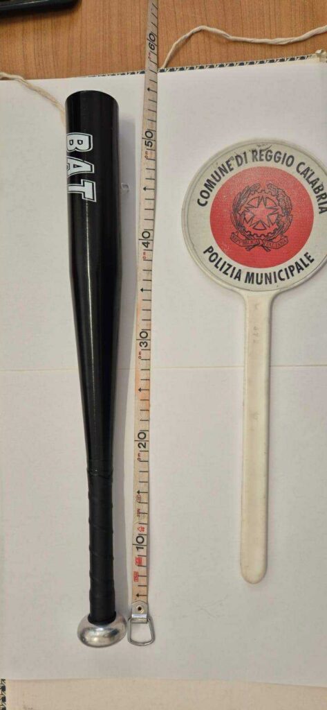 Mazze baseball - arresti Reggio