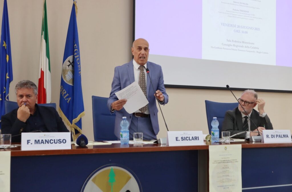 Relazione garante disabili reggio calabria