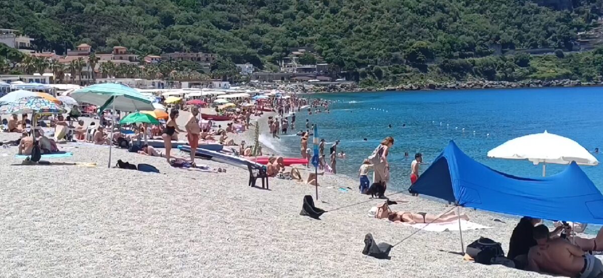 Scilla