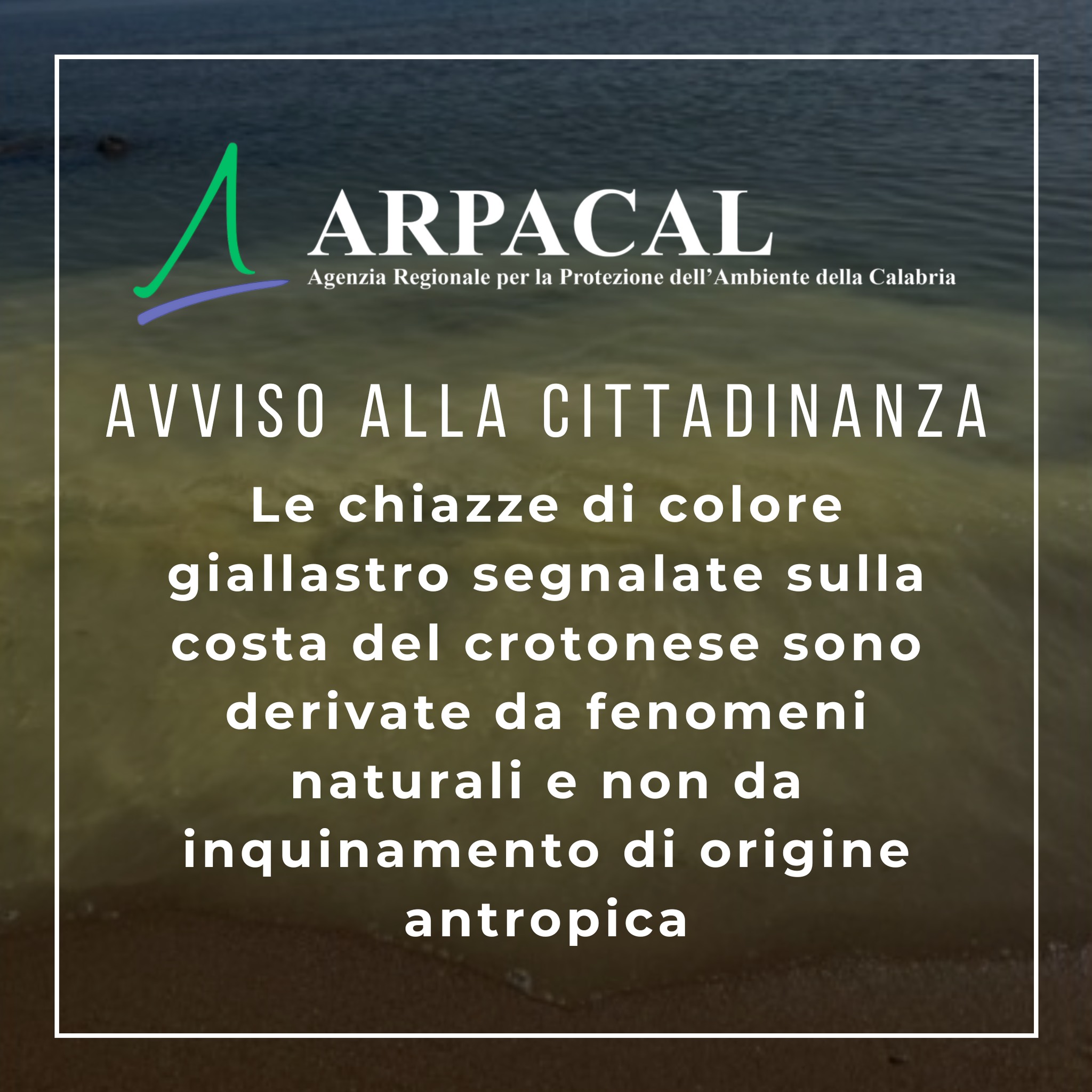 avviso arpacal