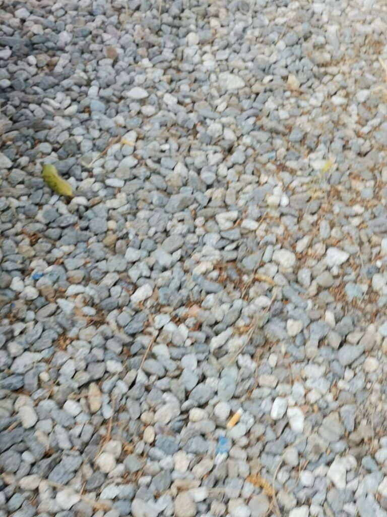 condizioni villetta santa