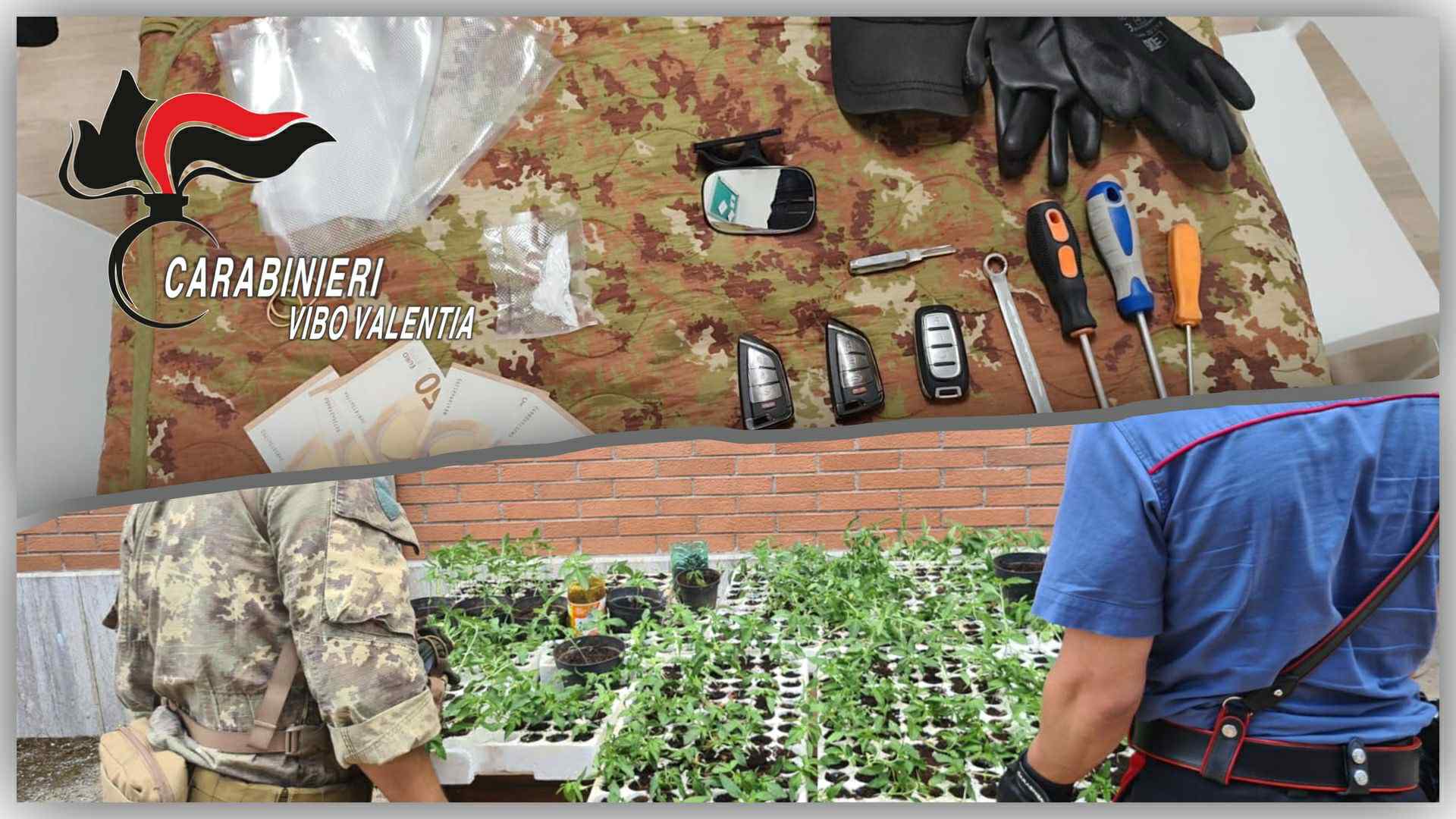 droga carabinieri vibo valentia