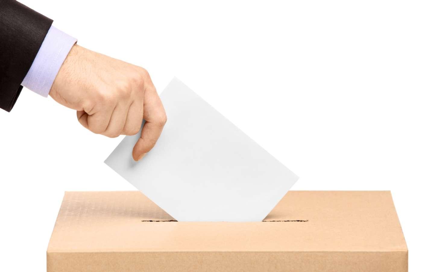 elezioni voto