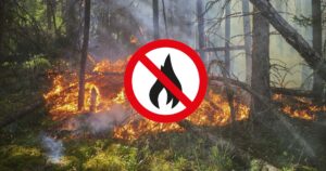 ordinanza contro incendi boschivi