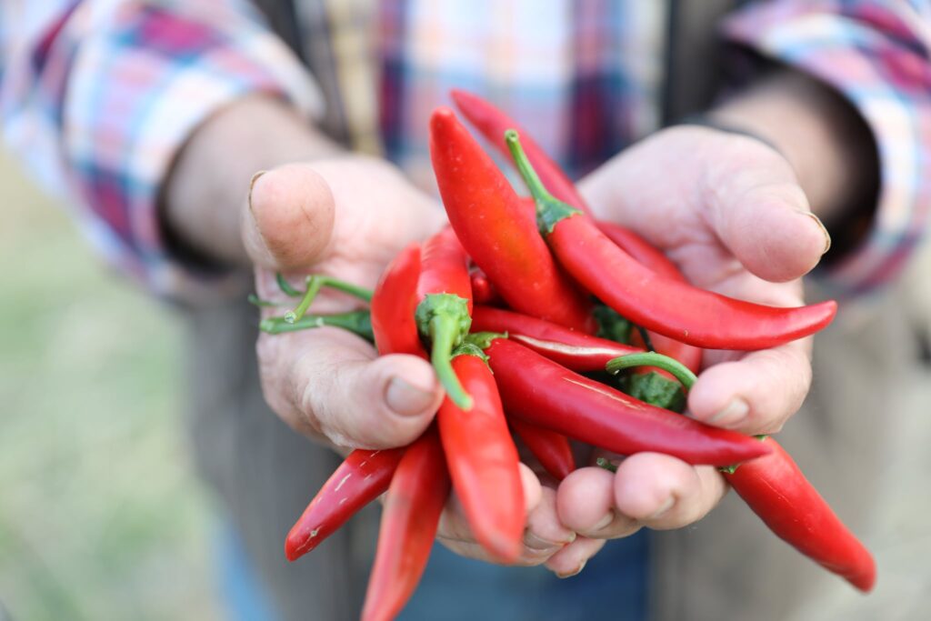 peperoncini nduja