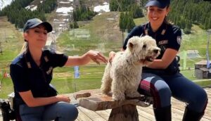 polizia di stato campagna contro abbandono animali