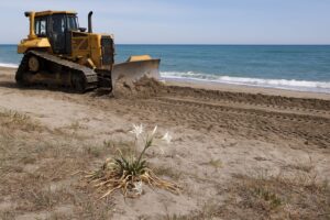 ruspa spiaggia
