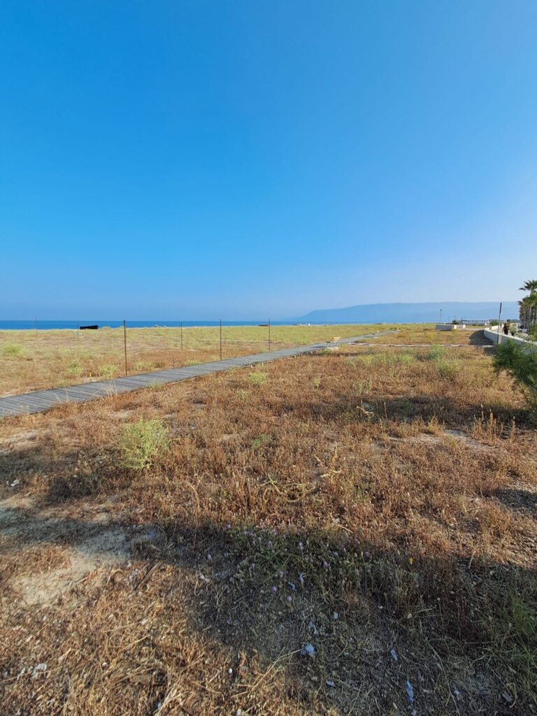 spiaggia san ferdinando