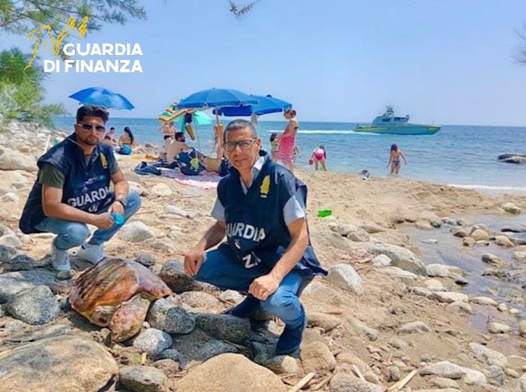 tartaruga salvata vibo valentia