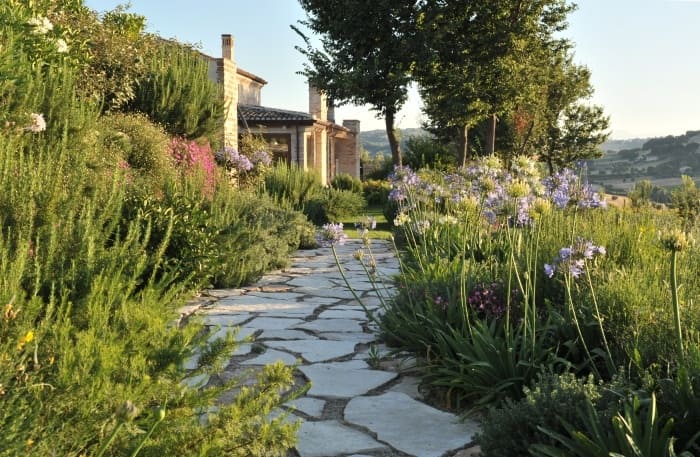 Come-progettare-un-giardino-Mediterraneo