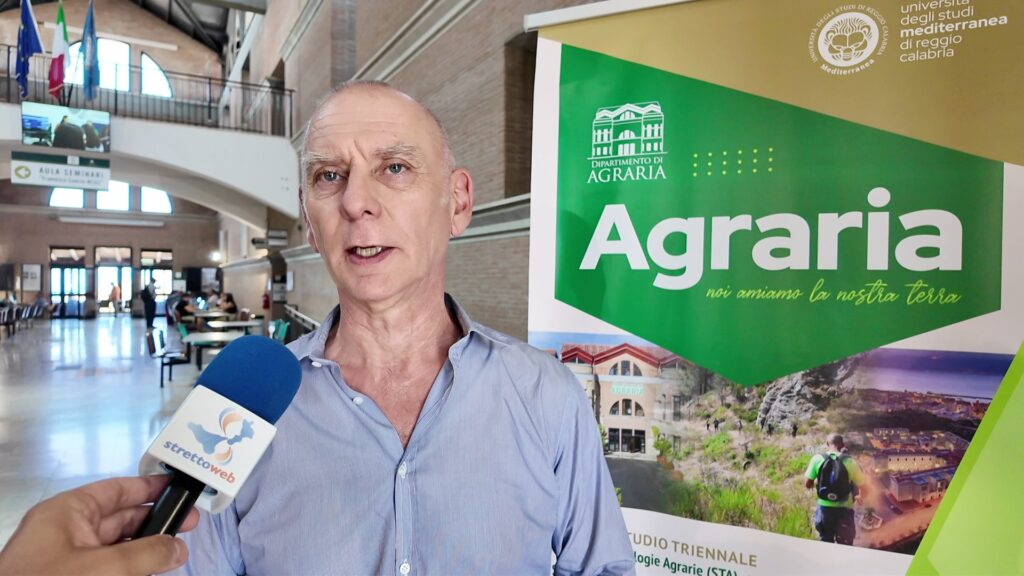 Corso Agraria Università Mediterranea