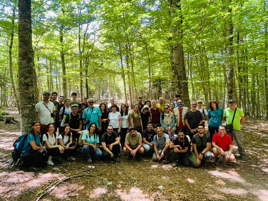 Escursione Entomologica Parco Aspromonte (2)