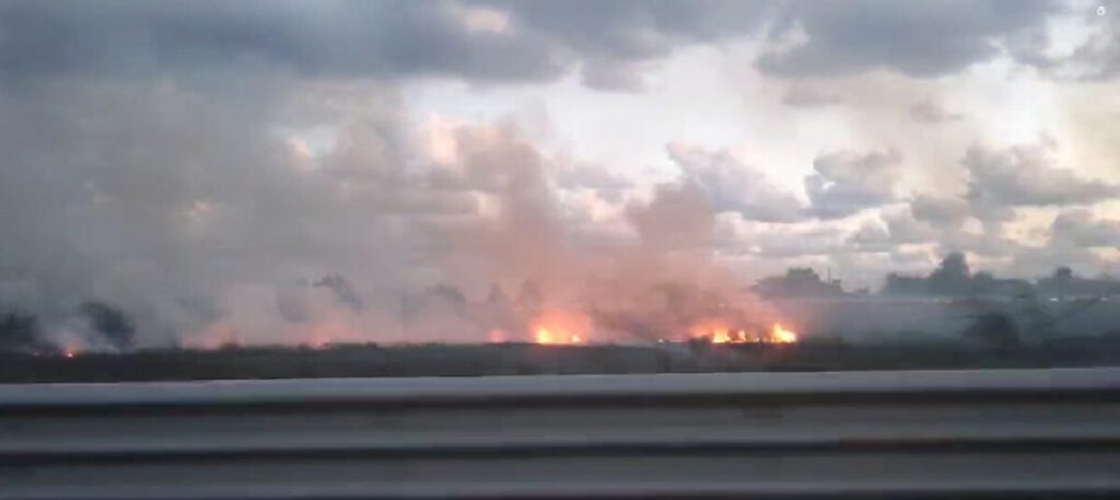 Incendio Calabria