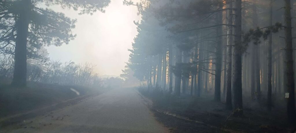 Incendio valle del Germano