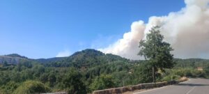 Incendio valle del Germano